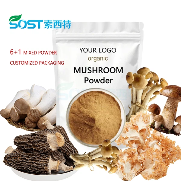 Pleurotus Eryngii Mushroom Powder suppliers