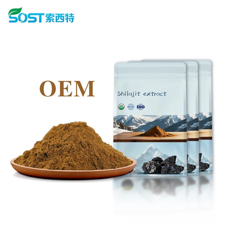 Shilajit Extract Powder price