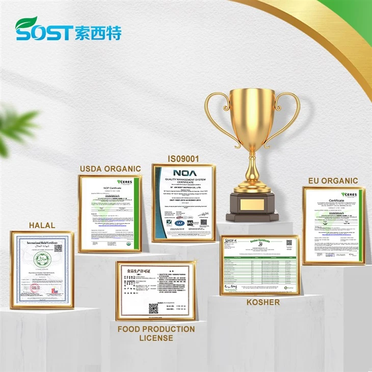 Freeze Dried Lemon Juice Powder suppliers